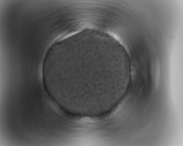 X0000088460390200706051328