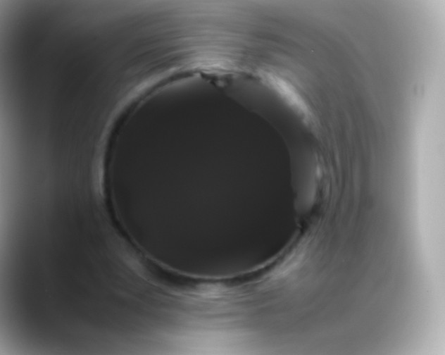 X0000088460391200706051328