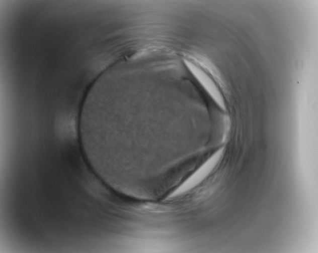 X0000088460393200706051328