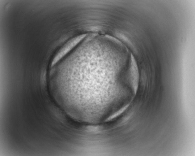 X0000088460394200706051328