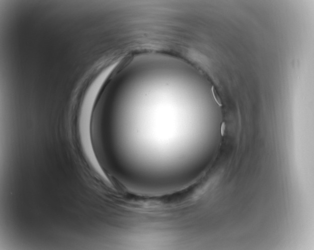 X0000088460395200706051328