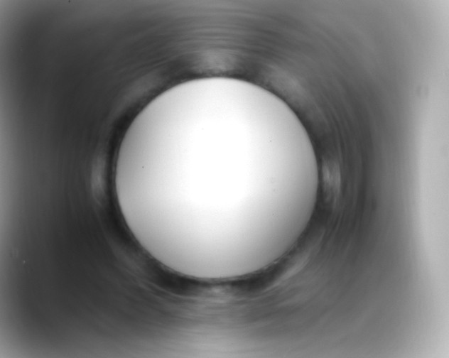 X0000088460396200706051328