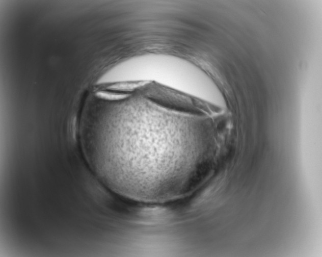 X0000088460397200706051328