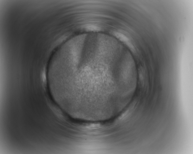 X0000088460398200706051328