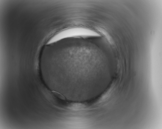 X0000088460399200706051328