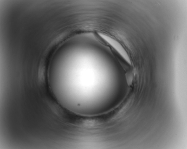 X0000088460400200706051328