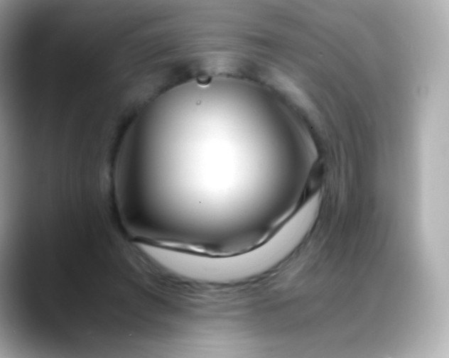 X0000088460401200706051328