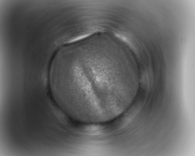 X0000088460402200706051328