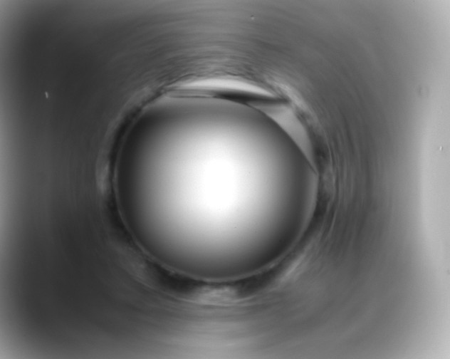 X0000088460403200706051328