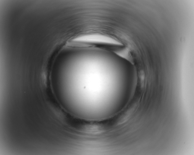 X0000088460404200706051328