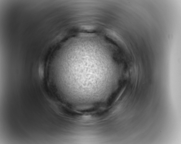 X0000088460406200706051328