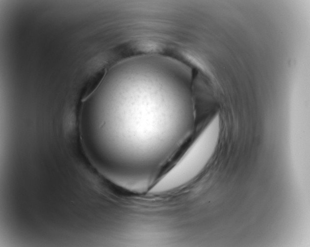 X0000088460407200706051328