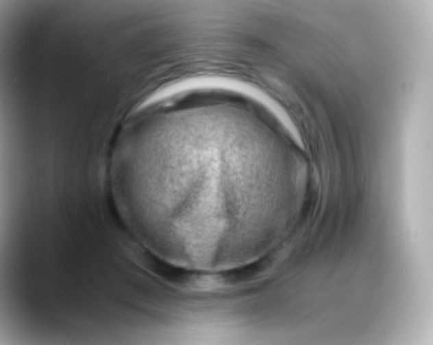 X0000088460409200706051328