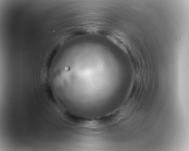 X0000088460411200706051328