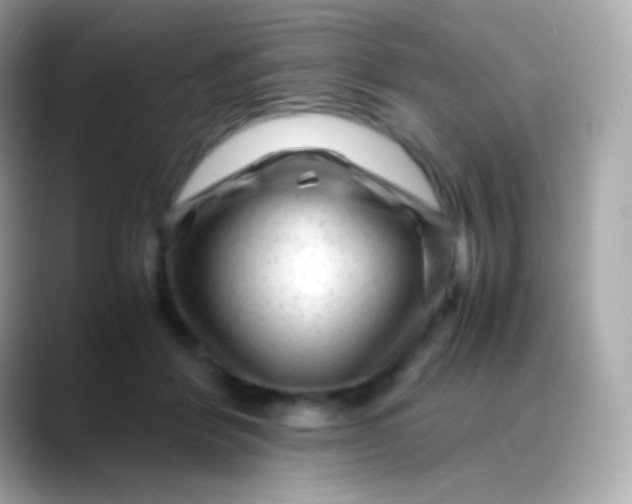 X0000088460412200706051328