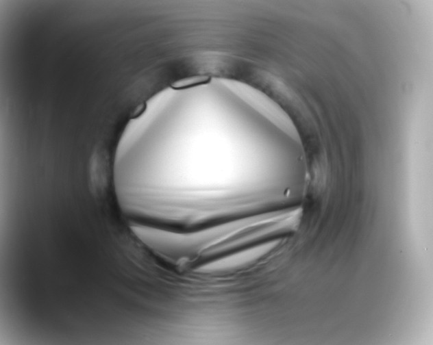 X0000088460413200706051328