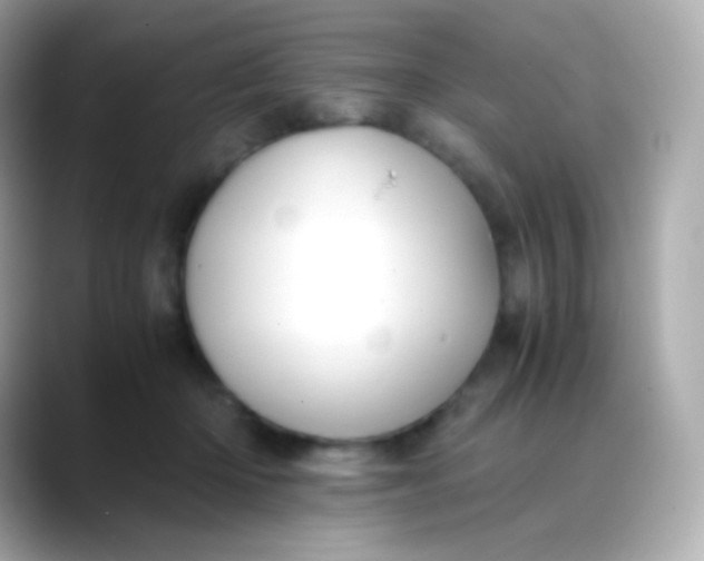 X0000088460414200706051328