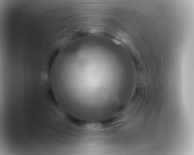 X0000088460415200706051328