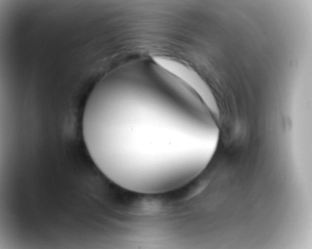 X0000088460416200706051328