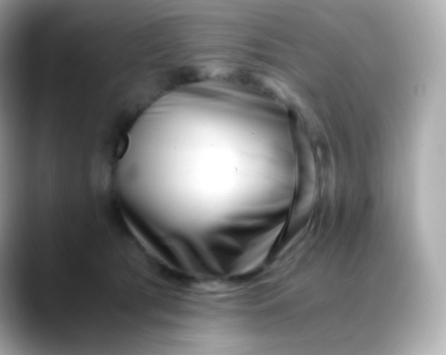 X0000088460417200706051328