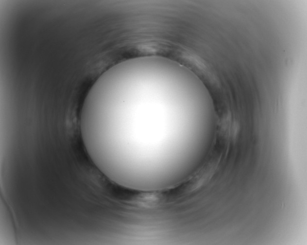 X0000088460418200706051328