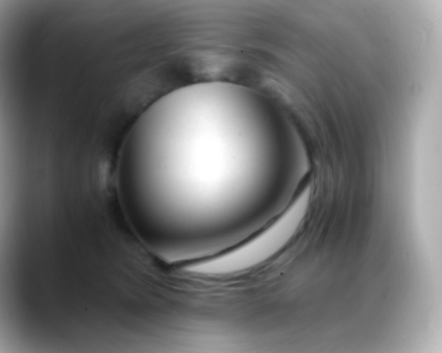 X0000088460420200706051328