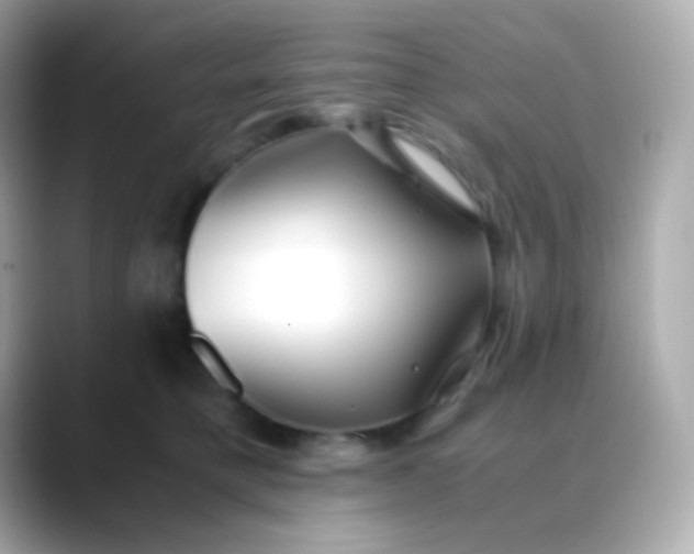 X0000088460421200706051328