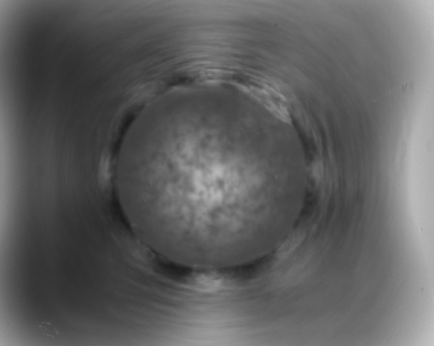 X0000088460423200706051328