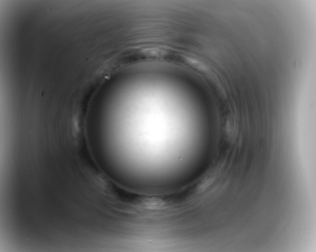 X0000088460424200706051328