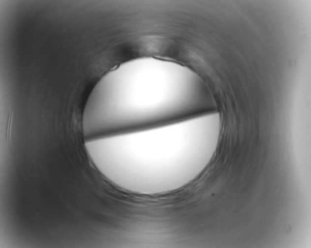 X0000088460425200706051327