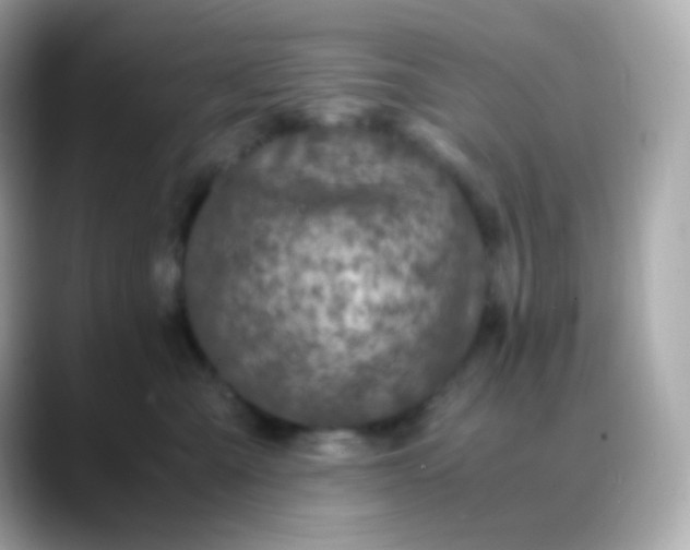 X0000088460427200706051327