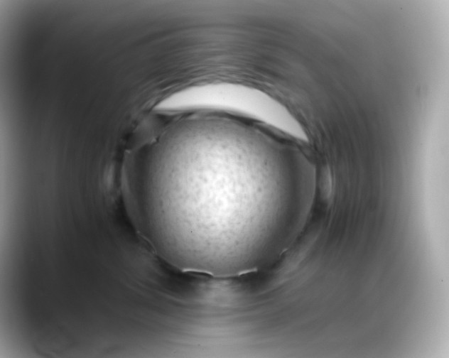 X0000088460428200706051327