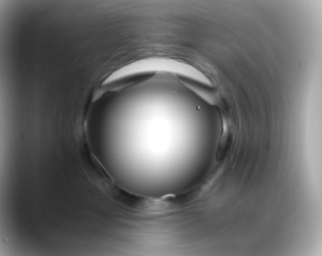 X0000088460429200706051327