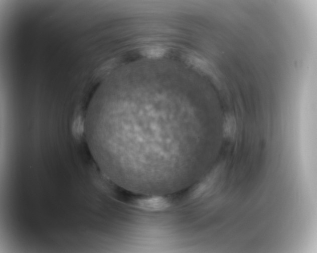 X0000088460431200706051327