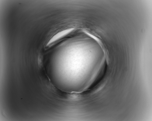 X0000088460432200706051327