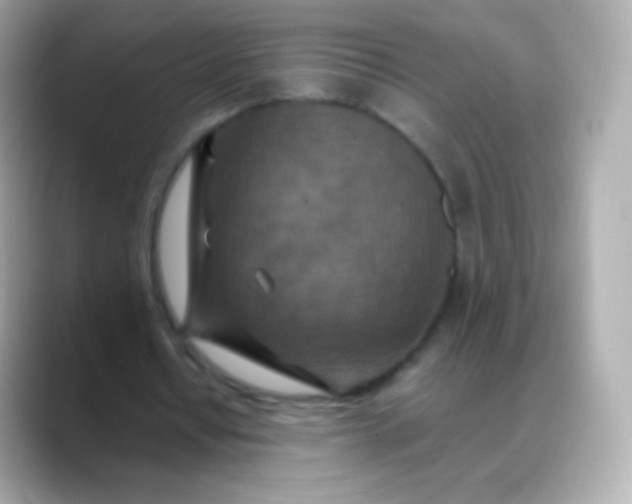 X0000088460434200706051327