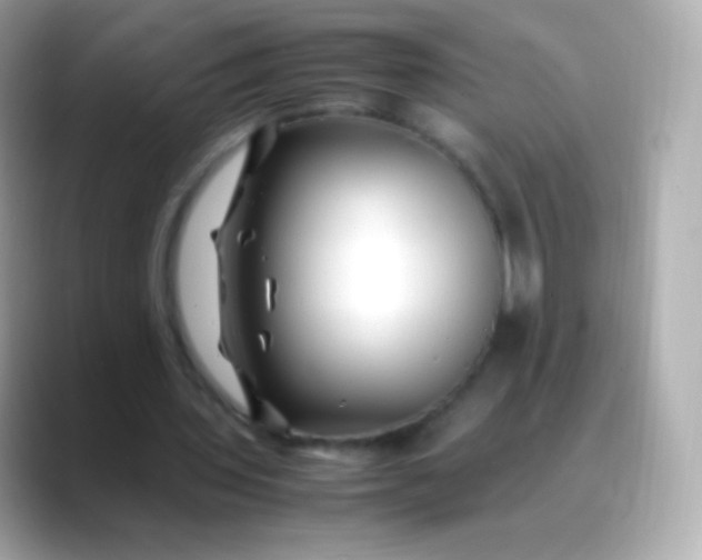 X0000088460435200706051327