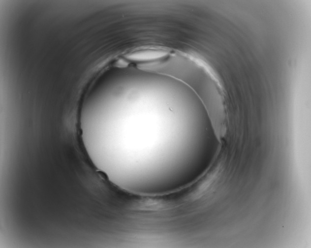 X0000088460437200706051327