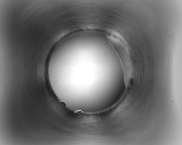 X0000088460439200706051327