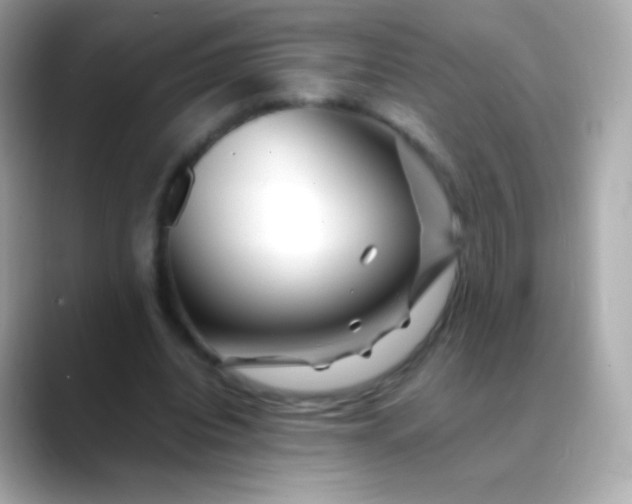 X0000088460440200706051327