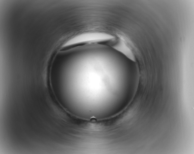 X0000088460442200706051327