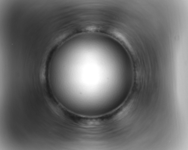 X0000088460443200706051327