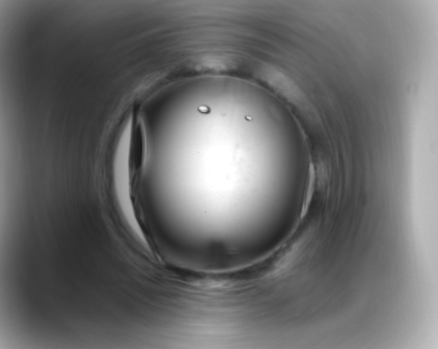 X0000088460444200706051327