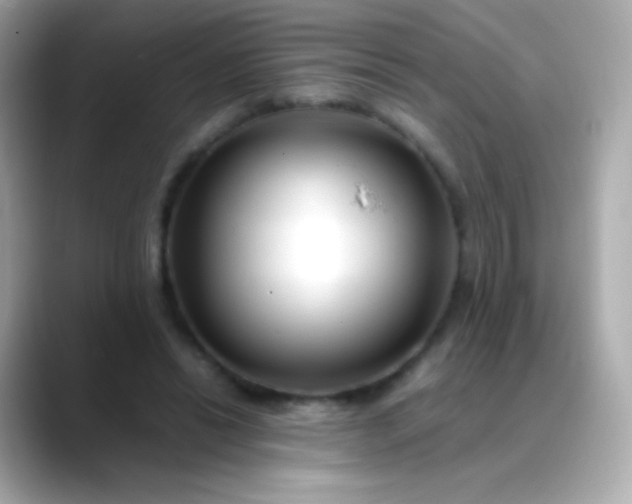 X0000088460446200706051327