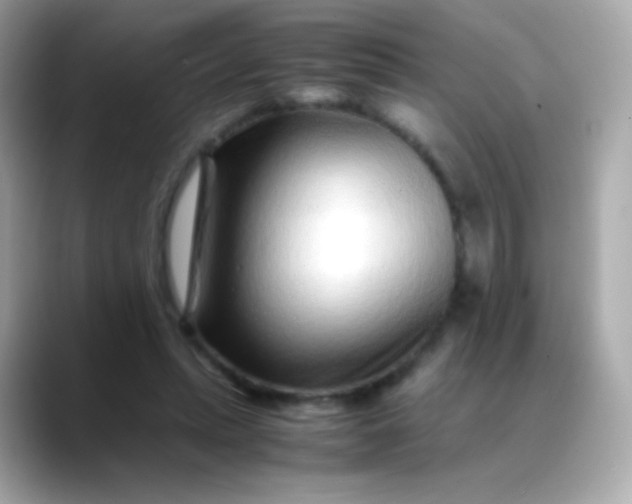 X0000088460447200706051327