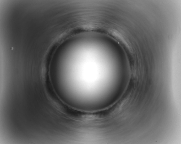 X0000088460448200706051327