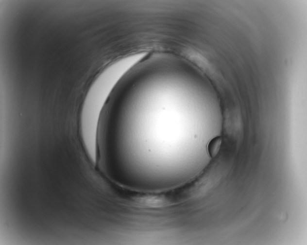 X0000088460449200706051327