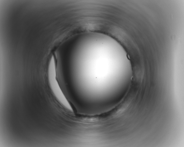 X0000088460450200706051327