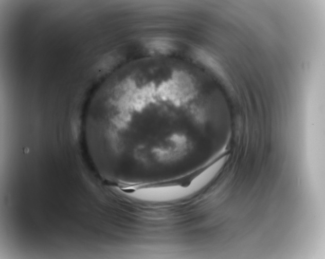 X0000088460451200706051327