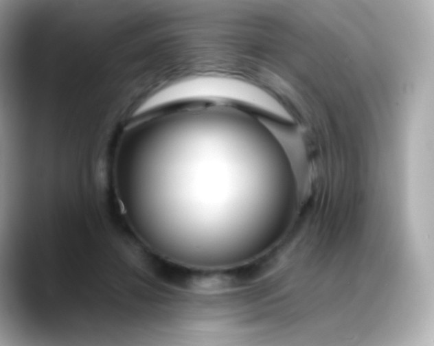 X0000088460452200706051327